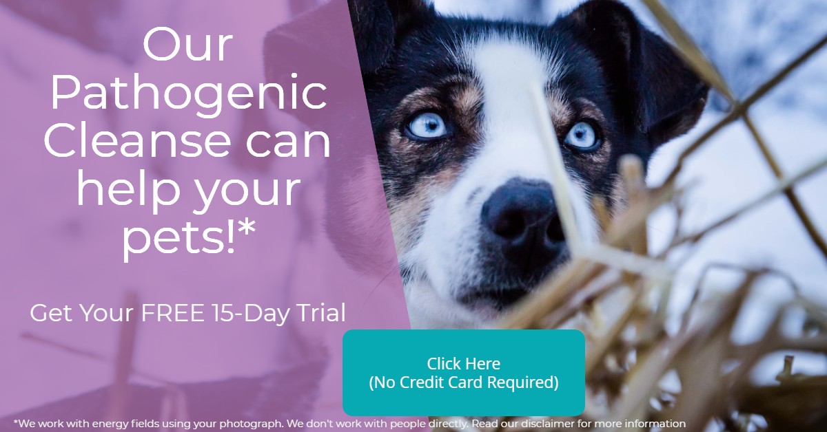 Dog Pathogenic Cleanse Call to Action